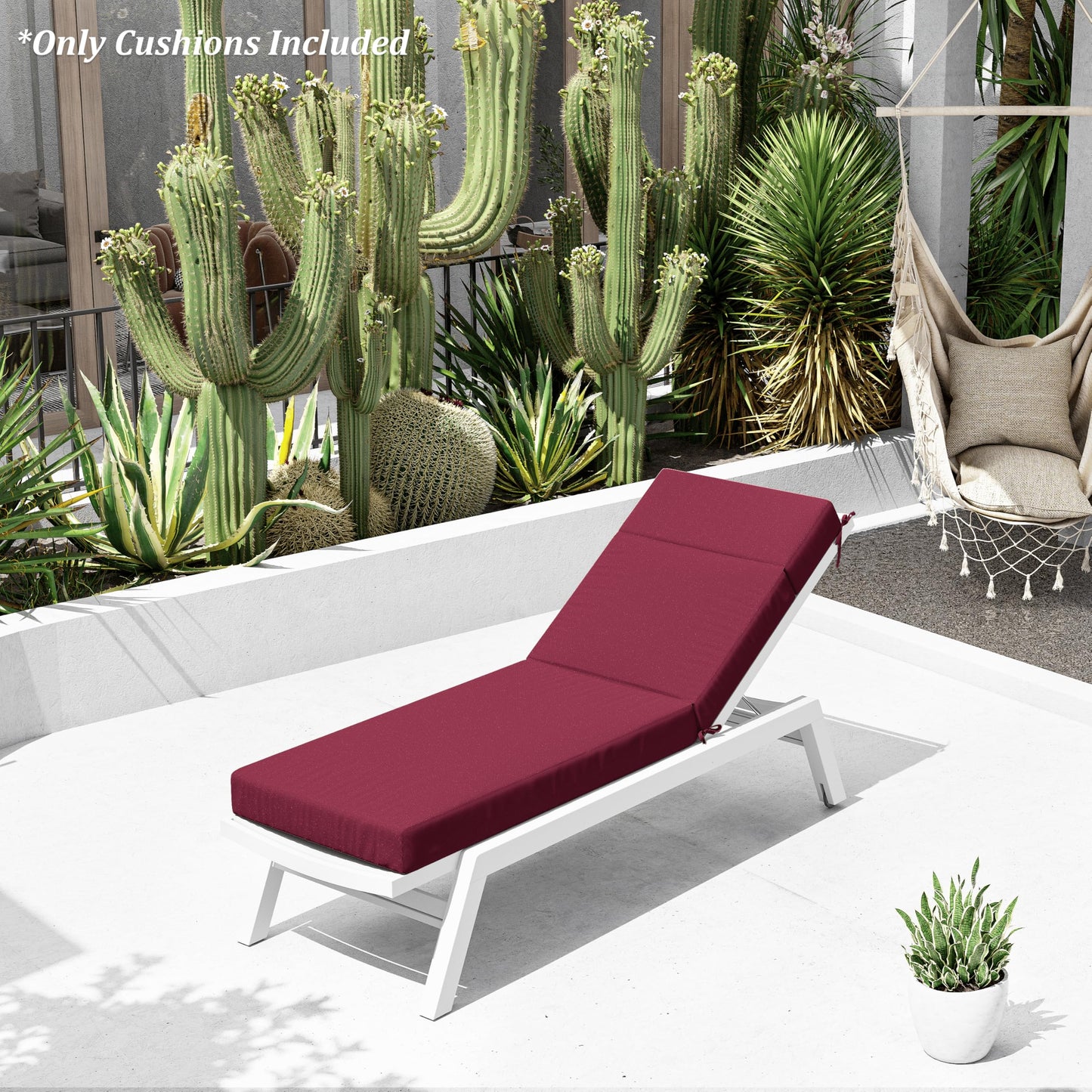 White lounge chair with Burgundy cushions in a garden setting with cacti and plants.