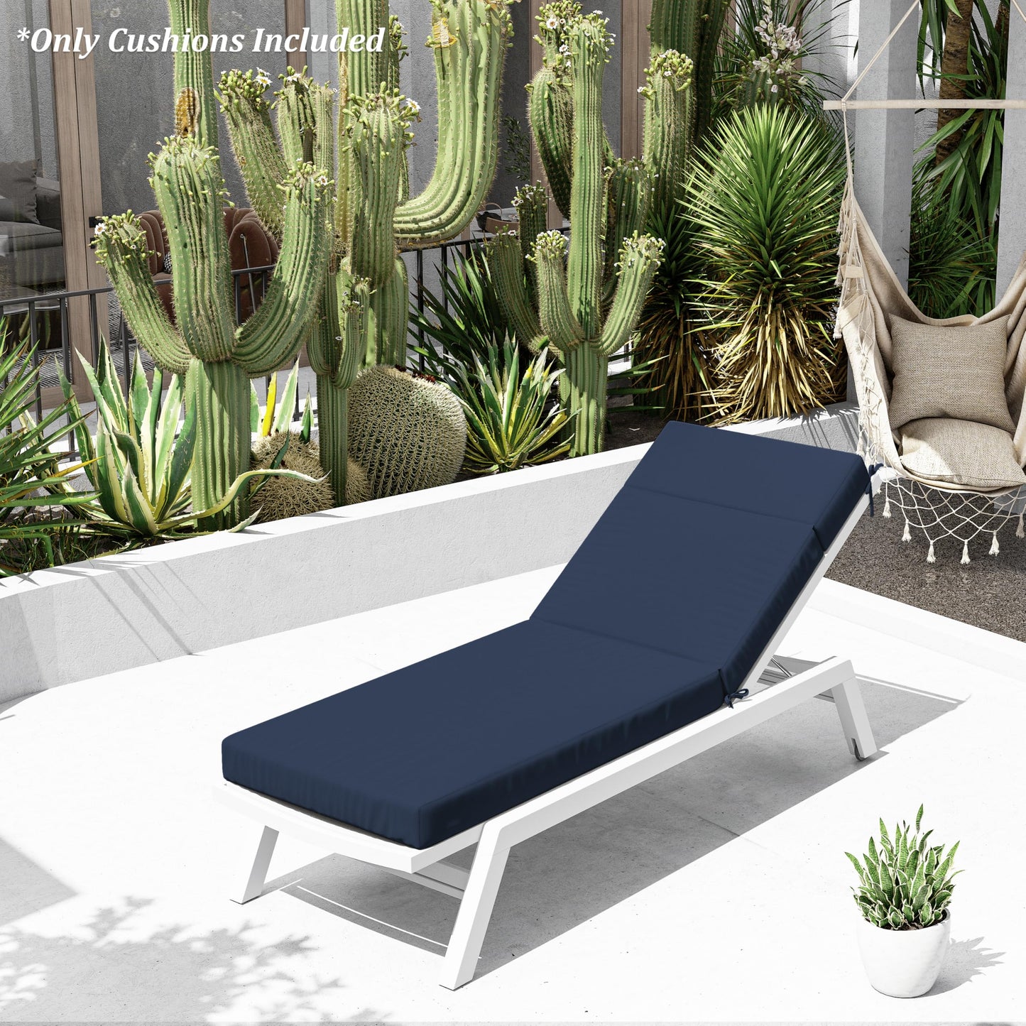 White lounge chair with navy cushion on a patio with cacti and plants in the background
