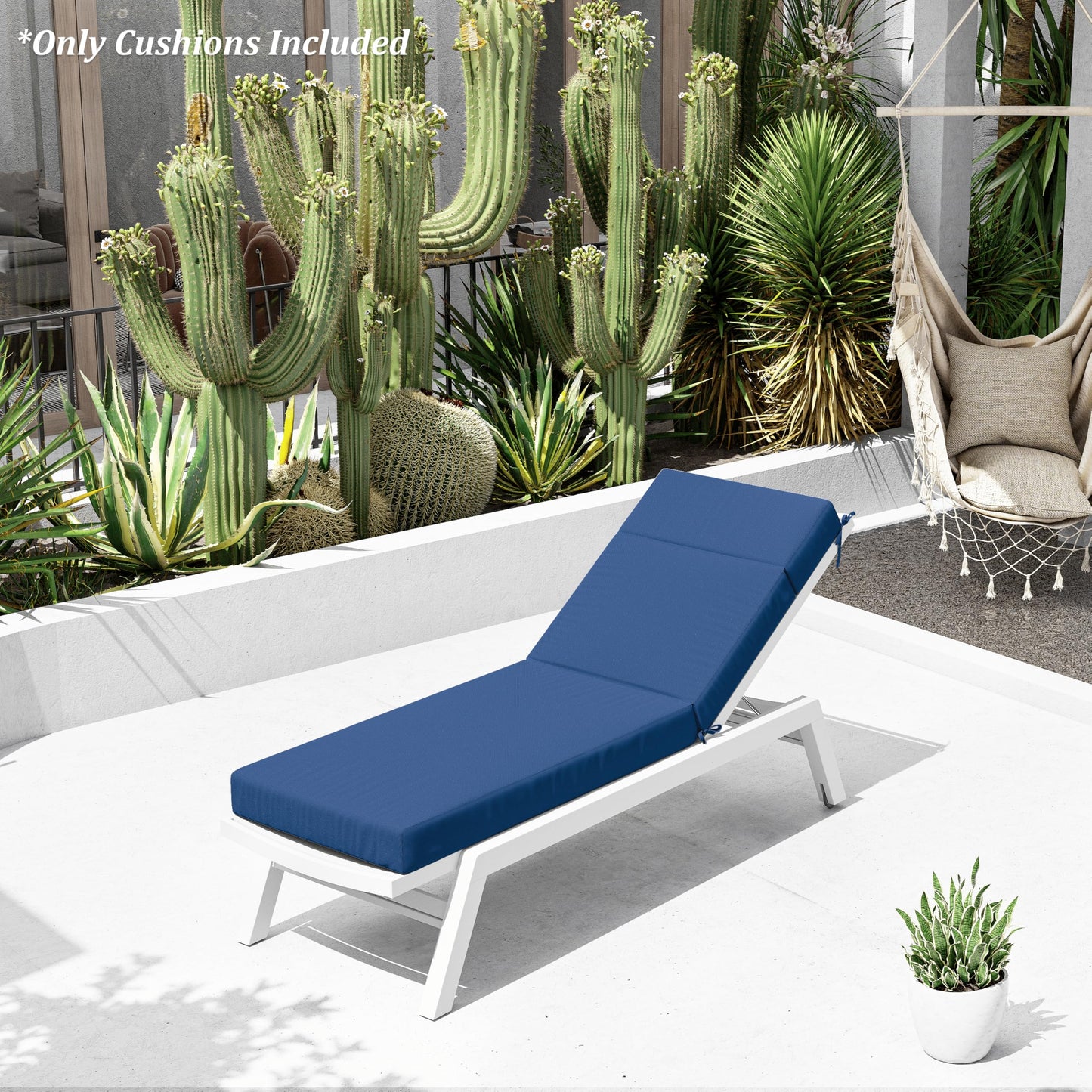 White lounge chair with blue cushions in a garden setting with cacti and plants.